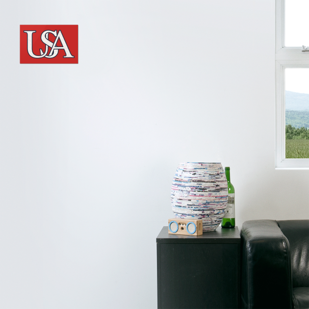 USA vintage Logo by stayfrostybro